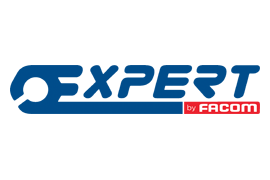 Expert